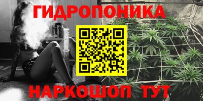 apvp Обь