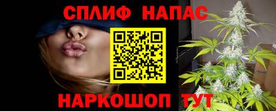apvp Обь